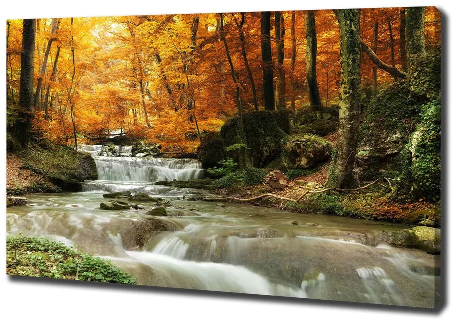 Tablou canvas Cascada din pădure