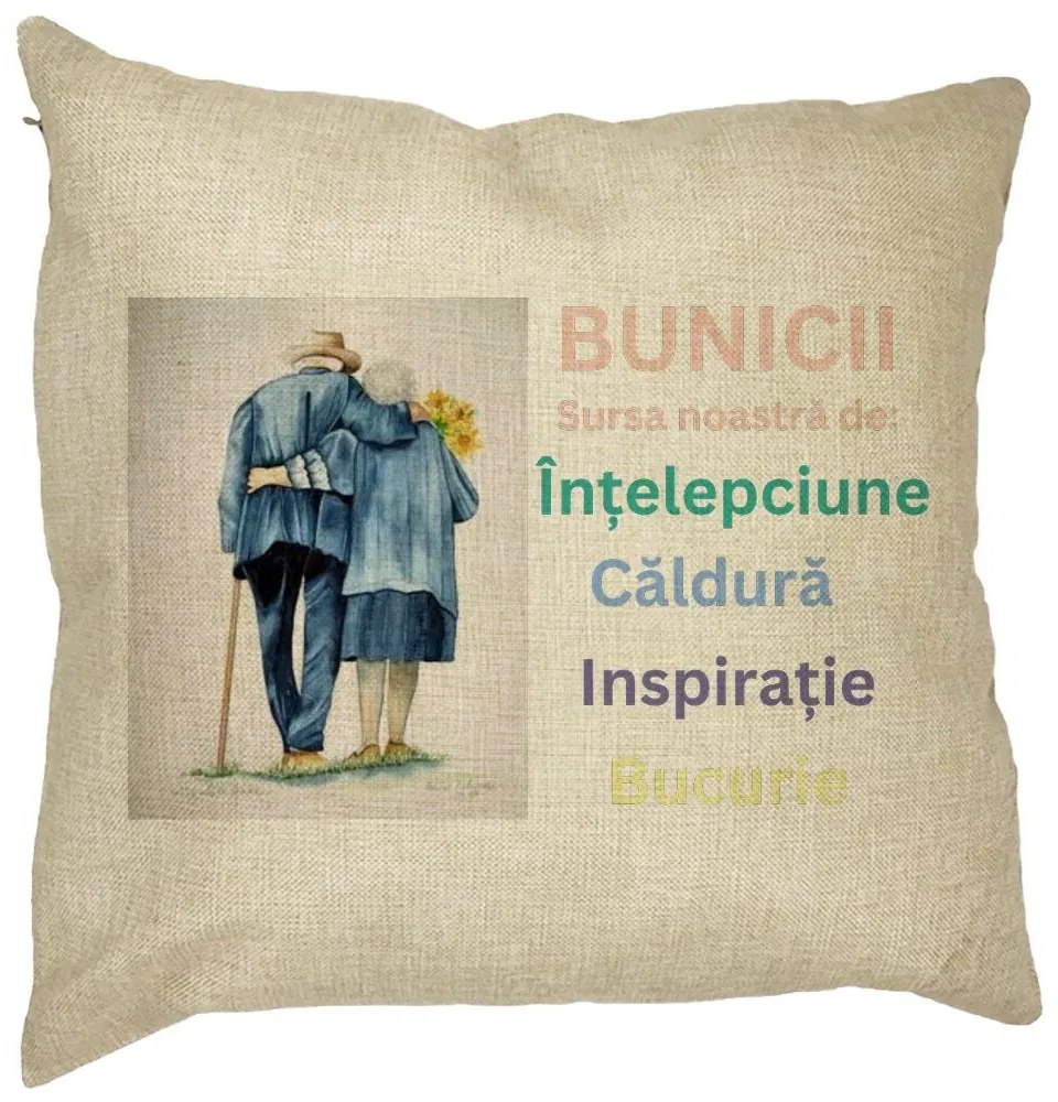 Perna Decorativa pentru Bunici 8, 40x40 cm, Husa Detasabila, Burduf