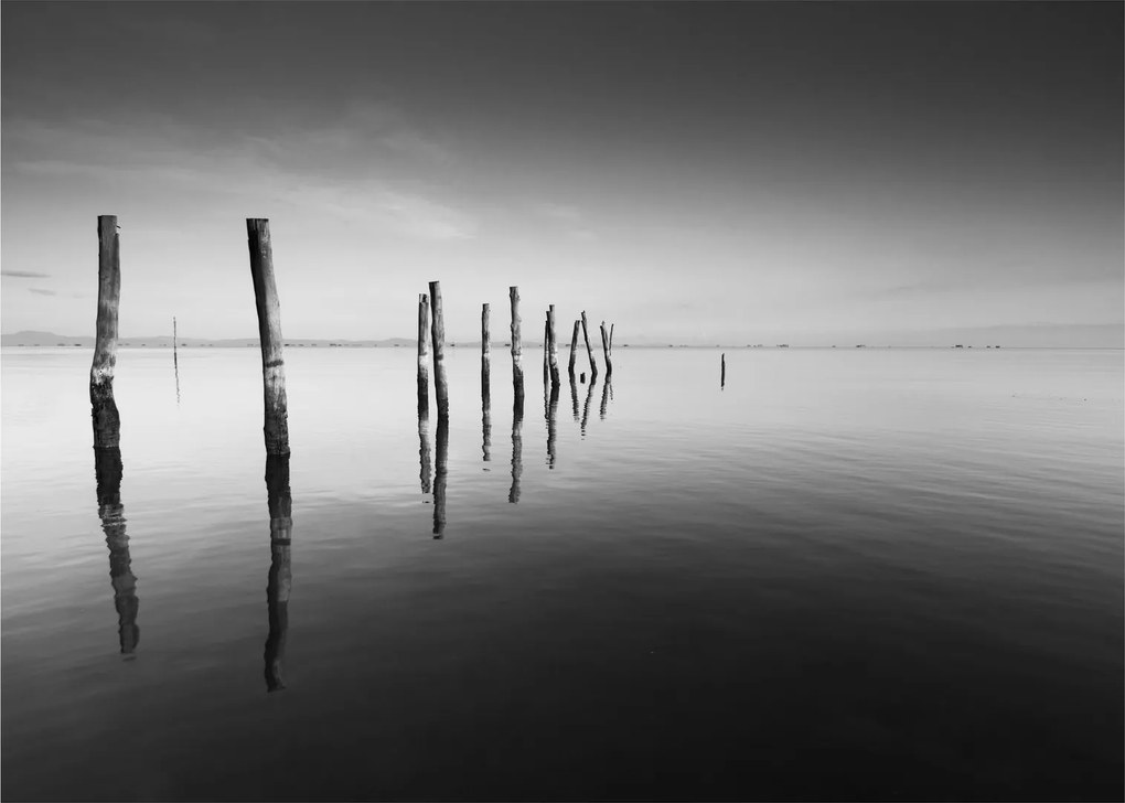Tablou cu nivelul de lac alb negru (70x50 cm)