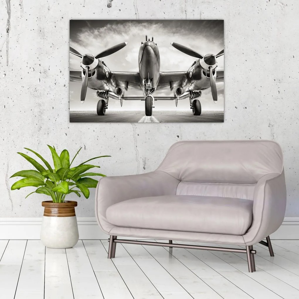 Tablou - Warbird (90x60 cm)