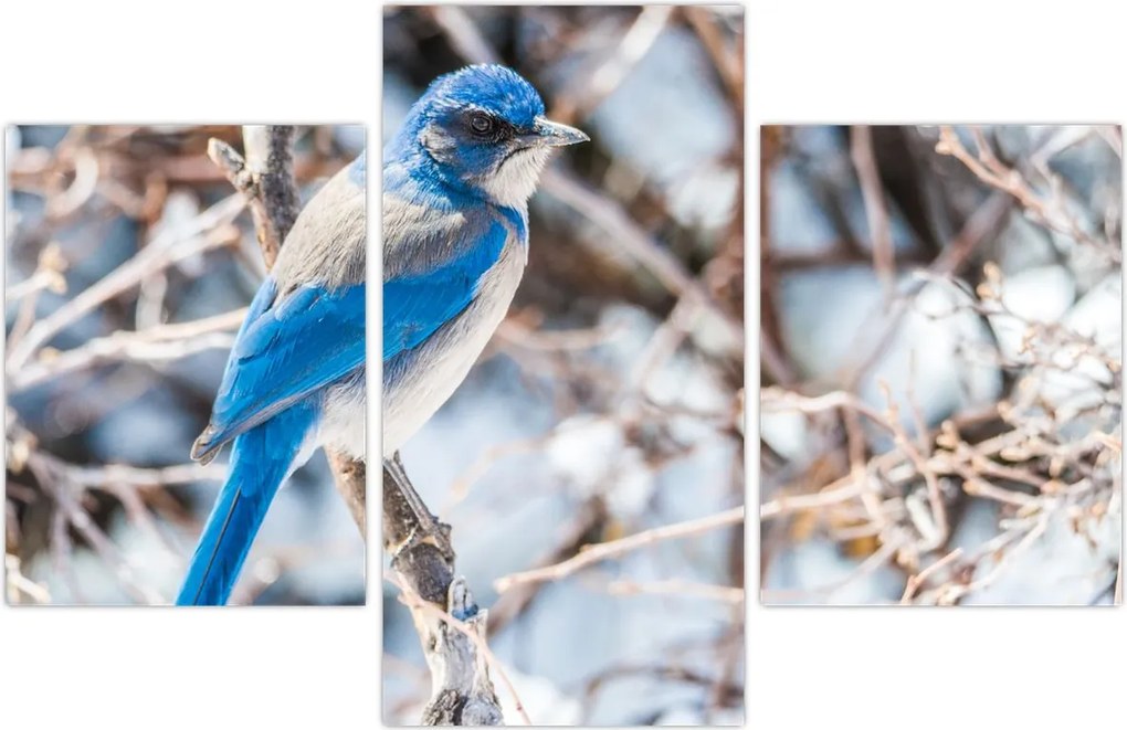 Tablou - Pasare de iarnă (90x60 cm)