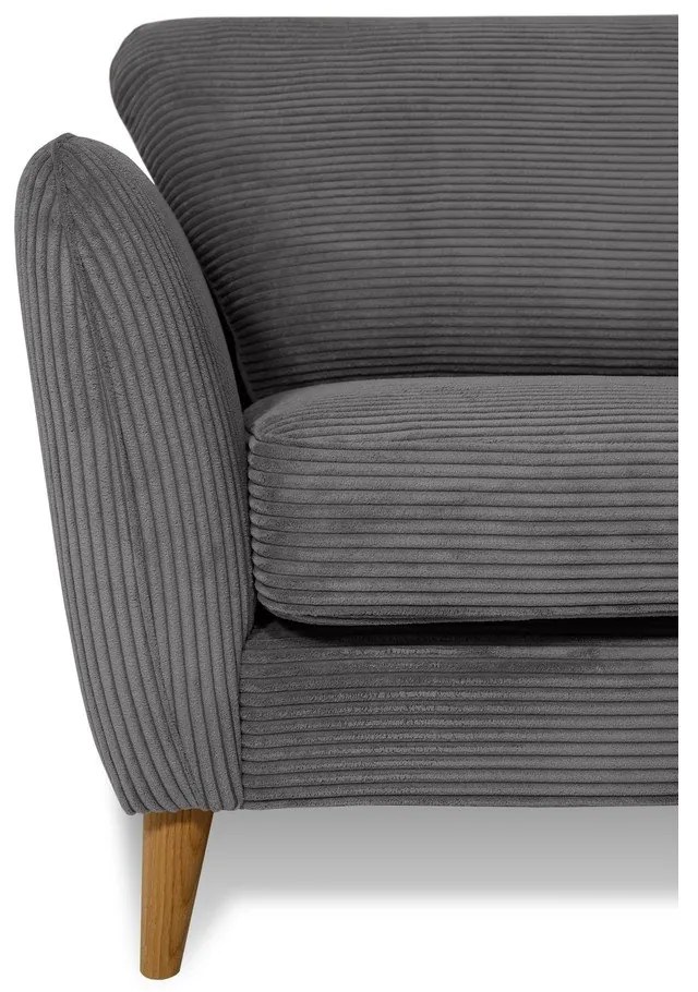 Fotoliu gri închis cu tapițerie din catifea reiată Paris – Scandic