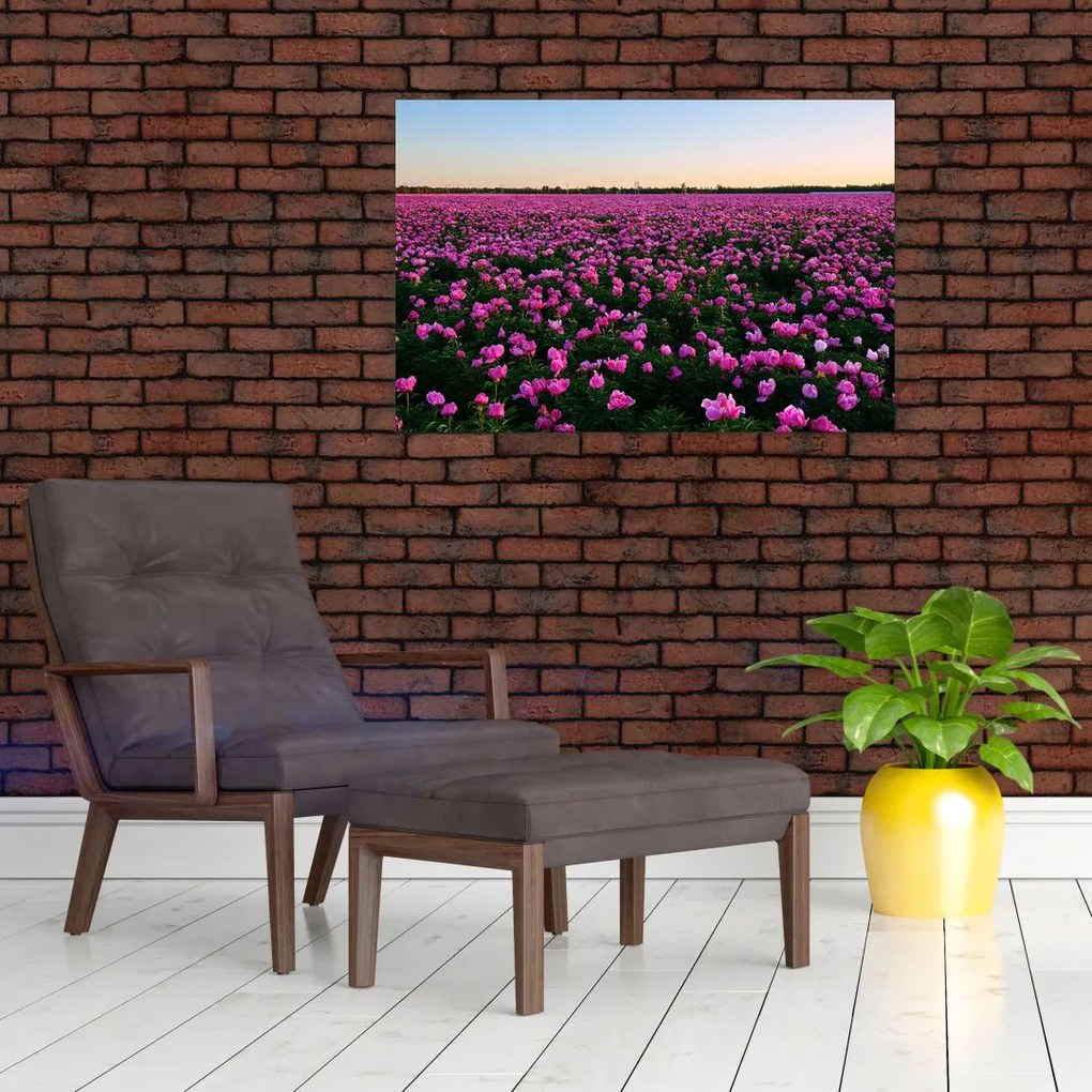 Tablou - Pajiștea cu lalele violet (90x60 cm)