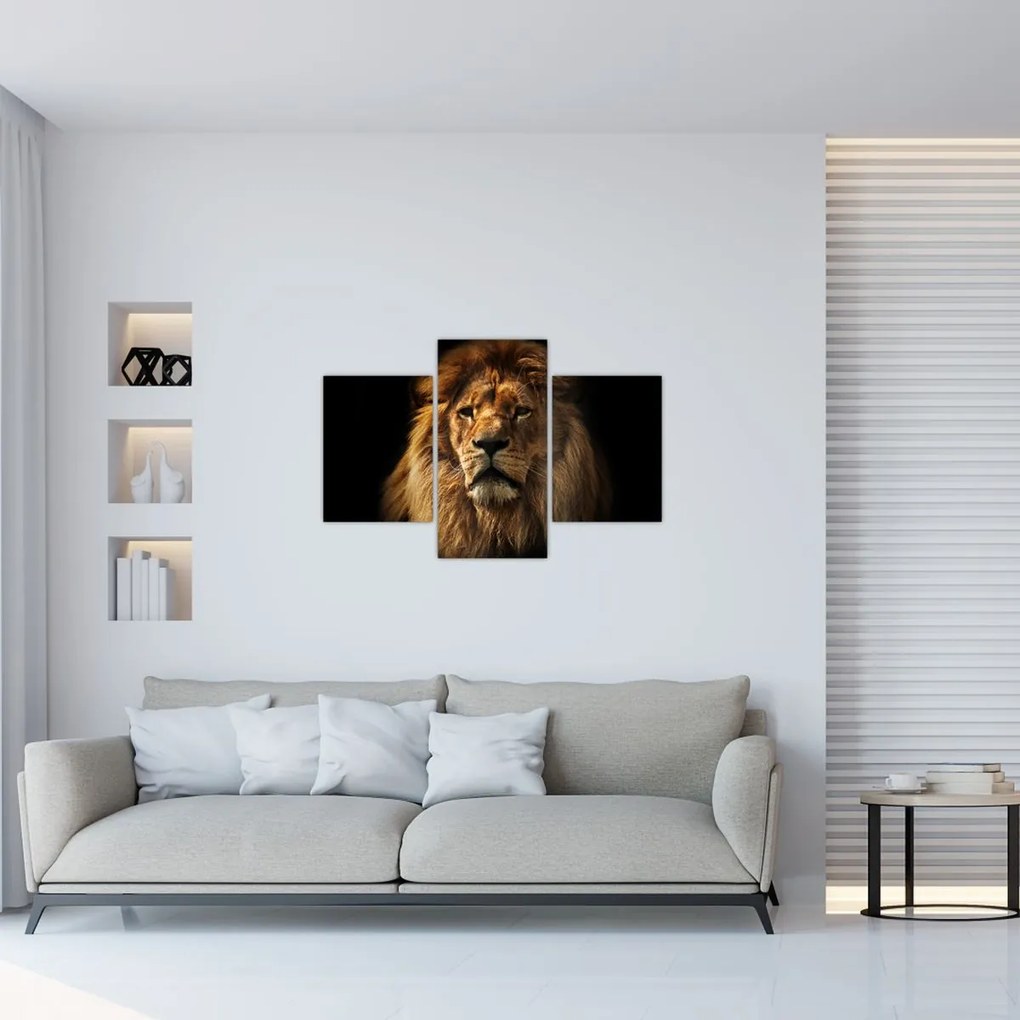 Tablou - Leu cu o coamă bogată (90x60 cm)