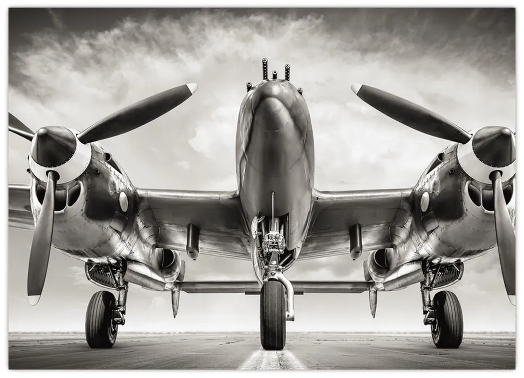 Tablou pe sticlă - Warbird (70x50 cm)