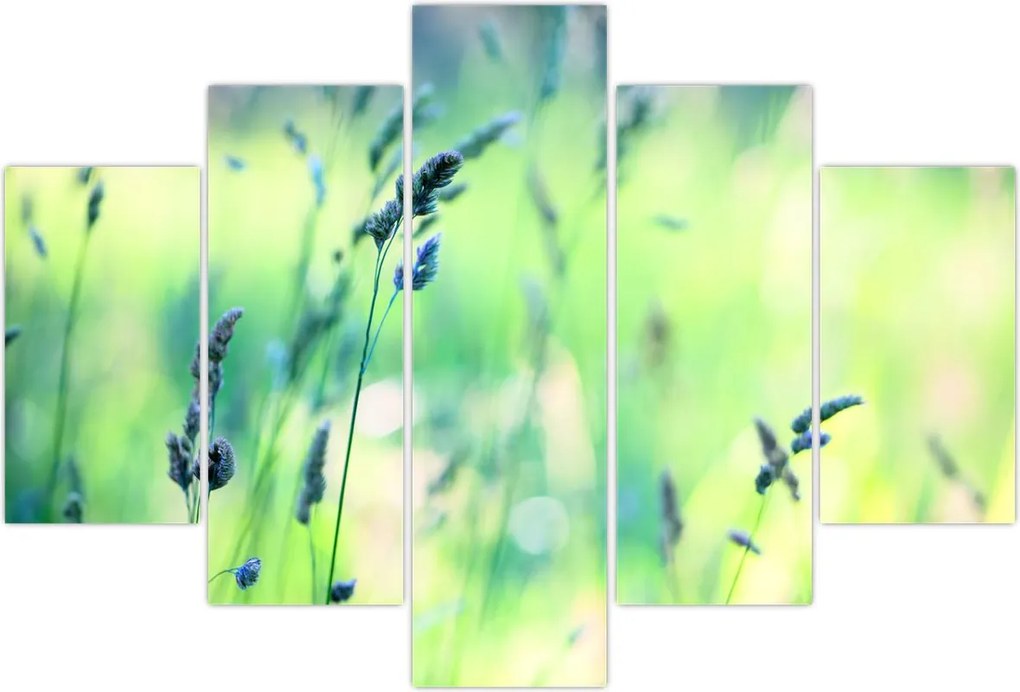 Tablou - Detaliu pajiște (150x105 cm)