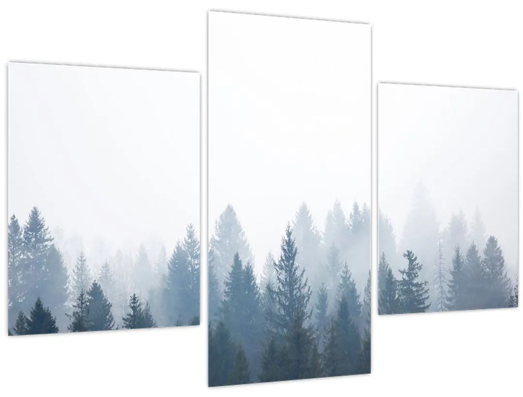 Tablou - Pădure cețoasă (90x60 cm)