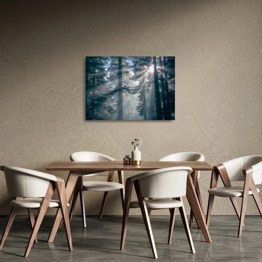 Tablou pe sticlă cu copaci și soarele translucind (70x50 cm)