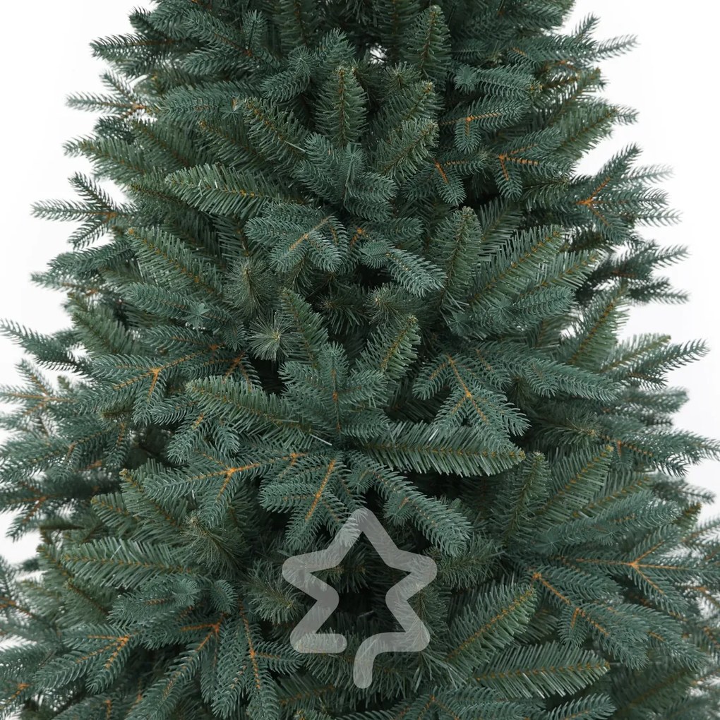 Molid Argintiu 220 cm