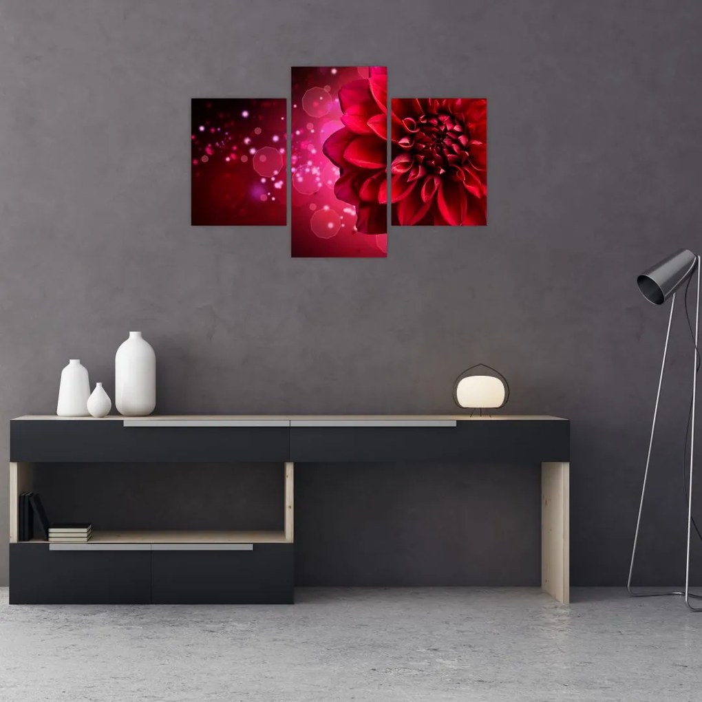 Tablou cu floare roșie (90x60 cm)
