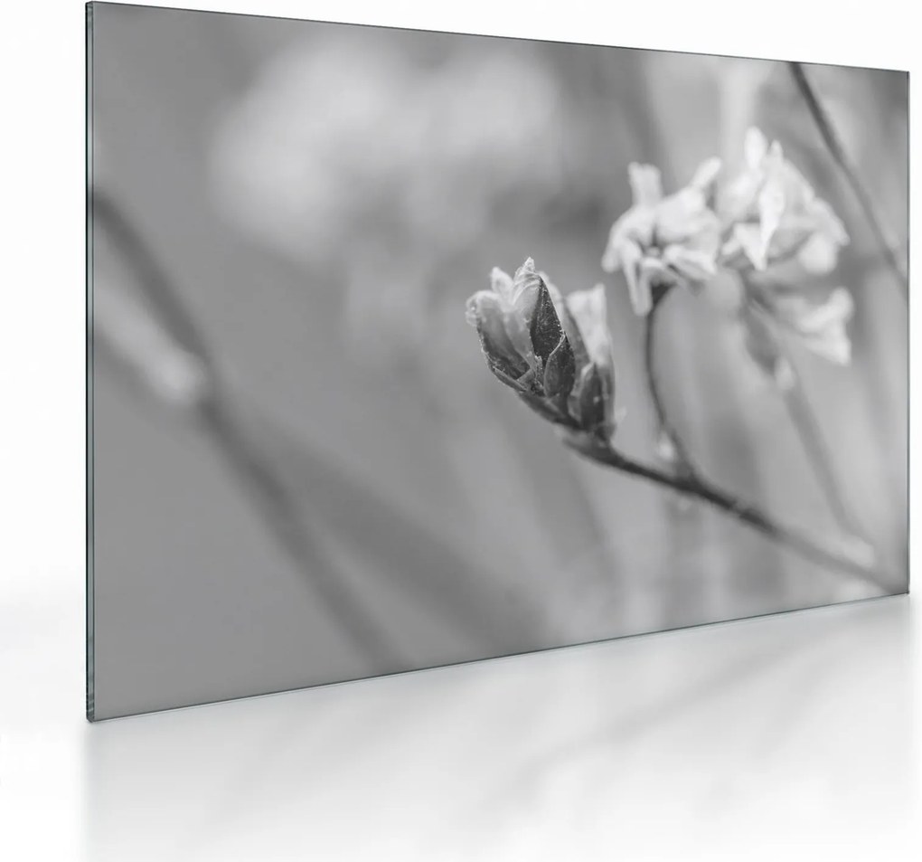 Tablou pe sticlă - Floare înflorită (70x50 cm)