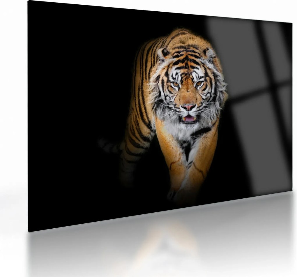 Tablou pe sticlă - Tiger (70x50 cm)