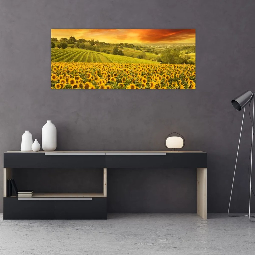 Tablou - Câmp de floarea-soarelui (120x50 cm)