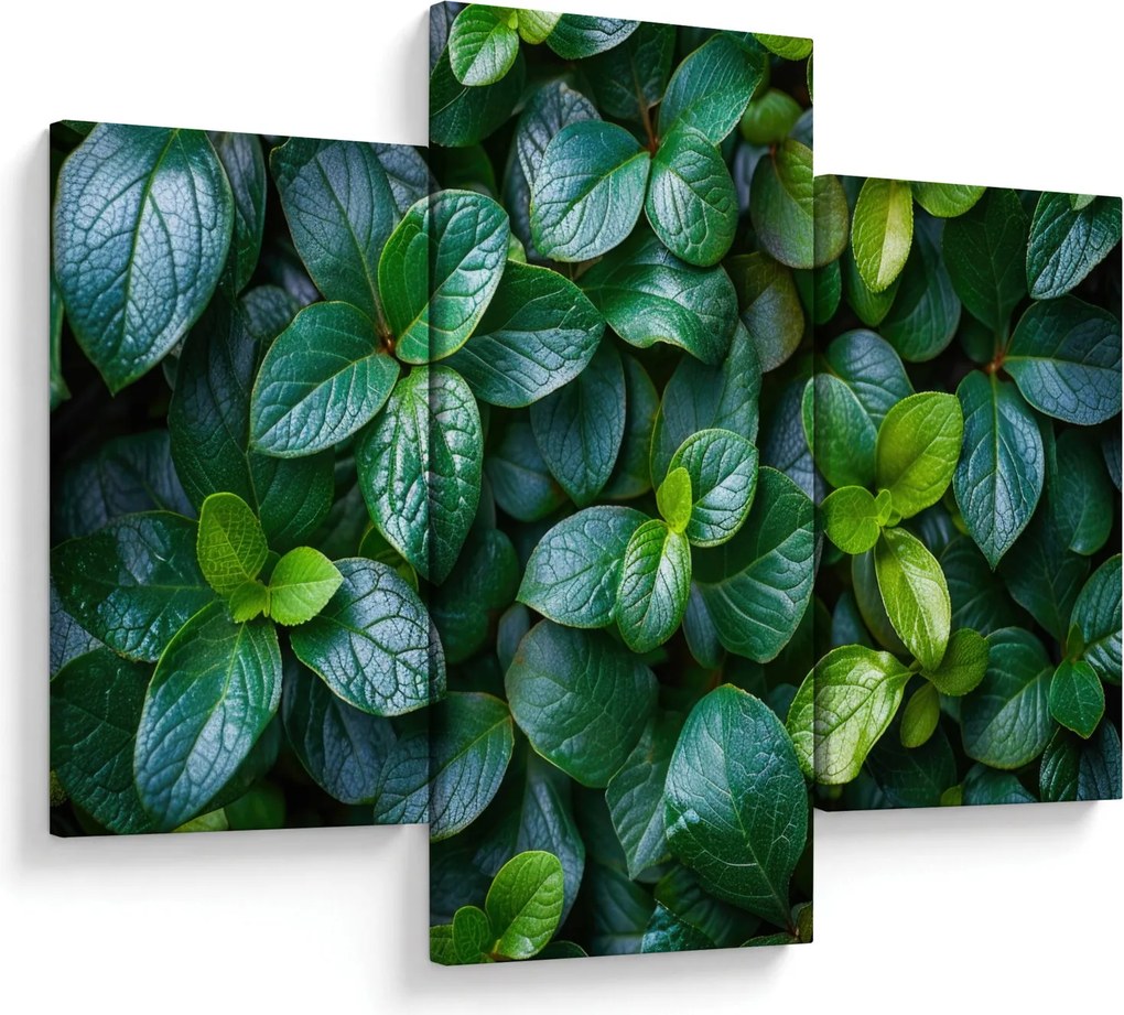 Tablou - Plante verzi (90x60 cm)