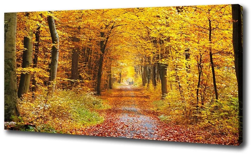 Tablou canvas Pădure în toamna