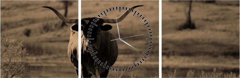 Tablou - Vacă din Texas (cu ceas) (90x30 cm)