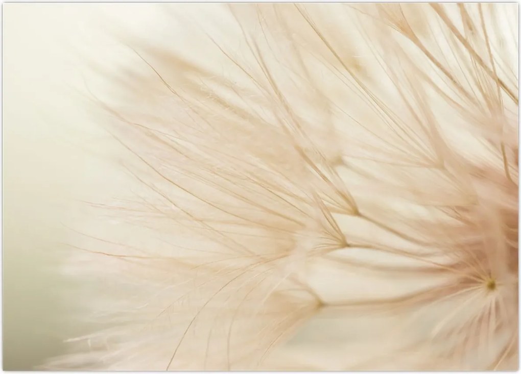 Tablou - Detaliu flori (70x50 cm)