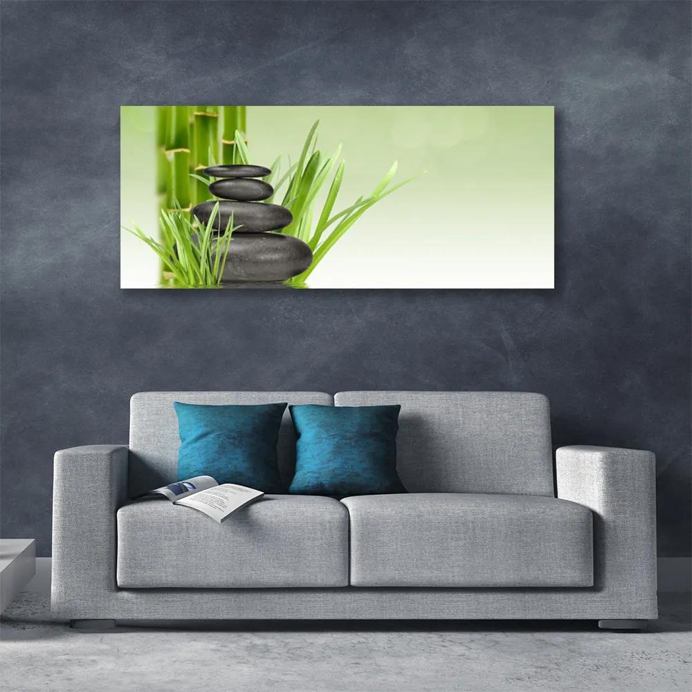 Tablou pe panza canvas Bamboo Ierburile Floral Verde Negru