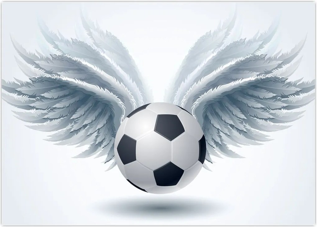 Tablou - Balon cu aripi (70x50 cm)