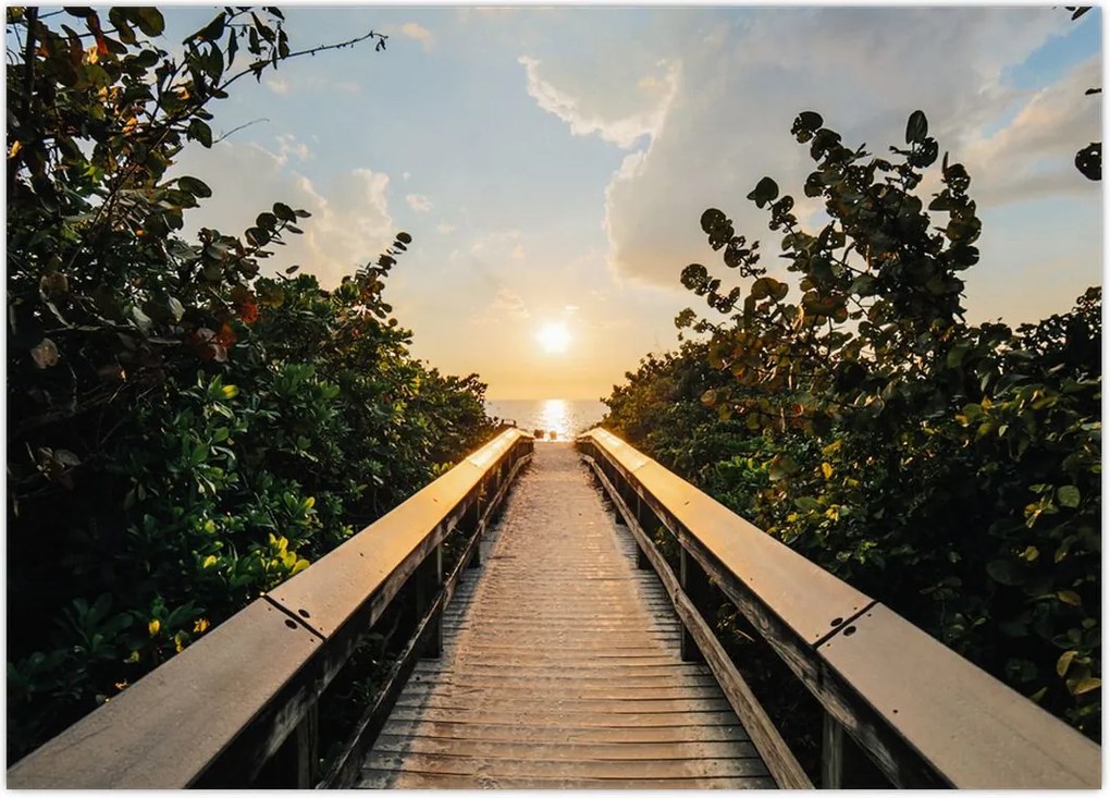 Tablou - drum spre soare (70x50 cm)