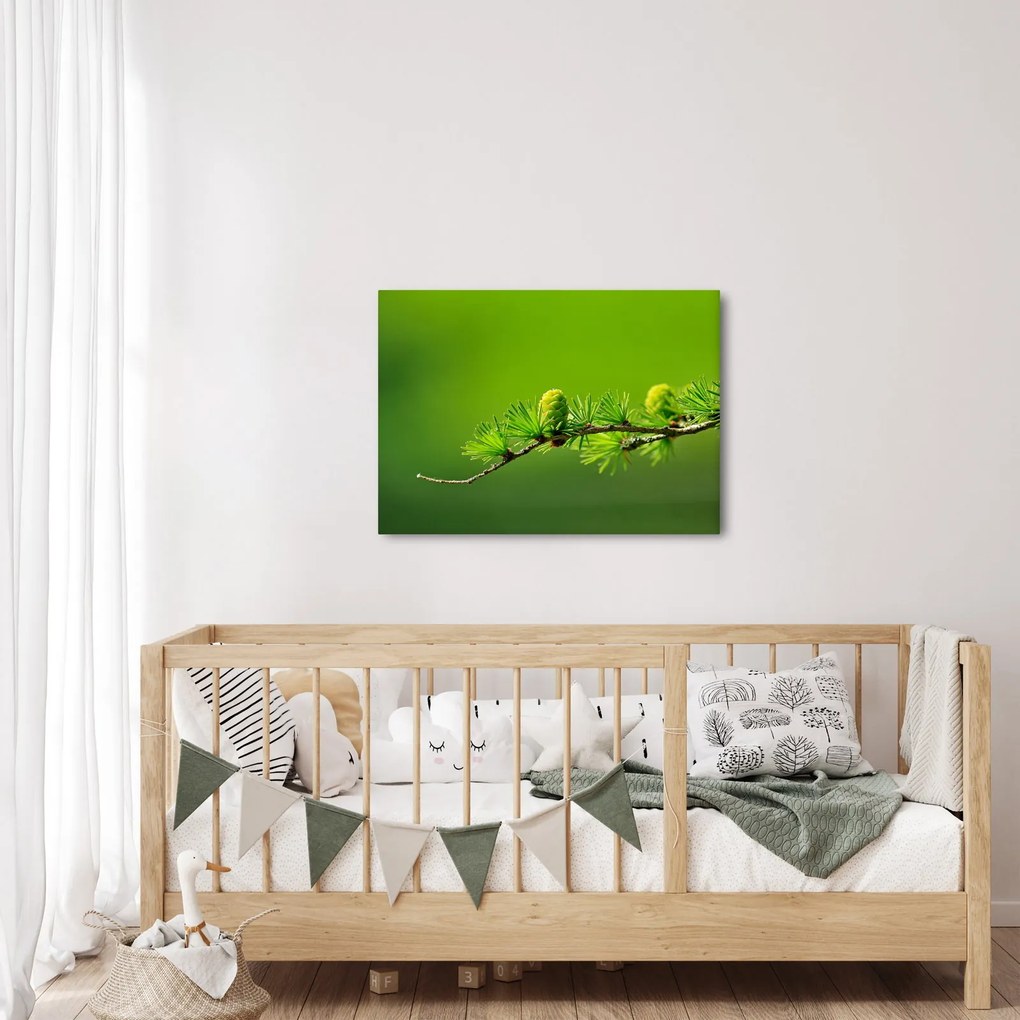 Tablou con verde (70x50 cm)