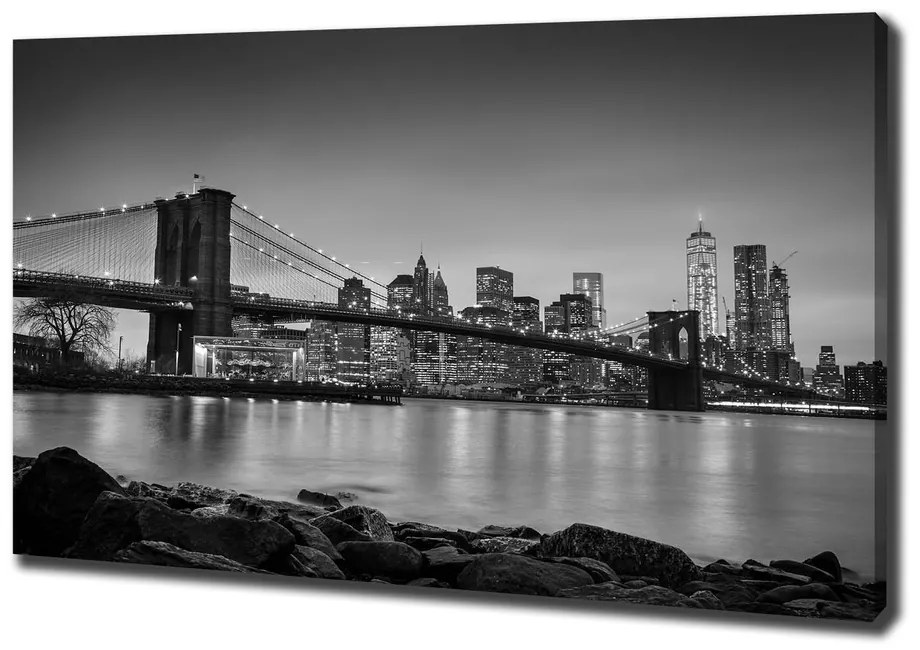 Tablou pe pânză canvas New york