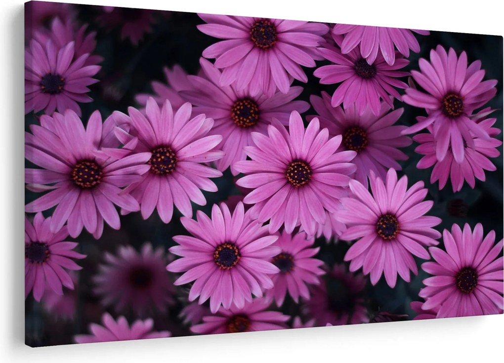Tablou cu florile roz (90x60 cm)