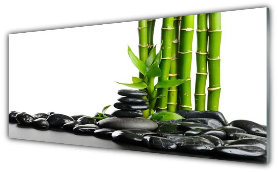 Tablouri acrilice Bamboo Pietre Arta Verde Negru
