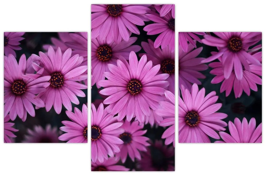 Tablou cu florile roz (90x60 cm)