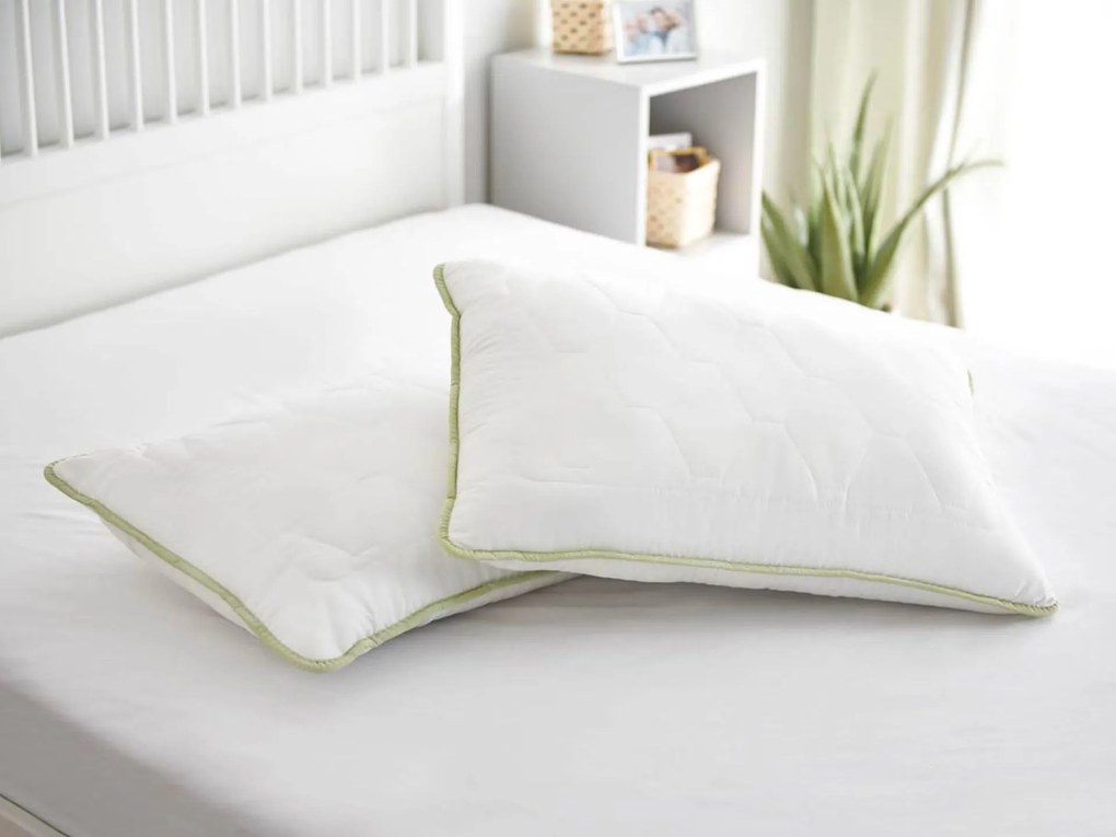 2xDormeo perna clasica Aloe Vera 50X70 cm