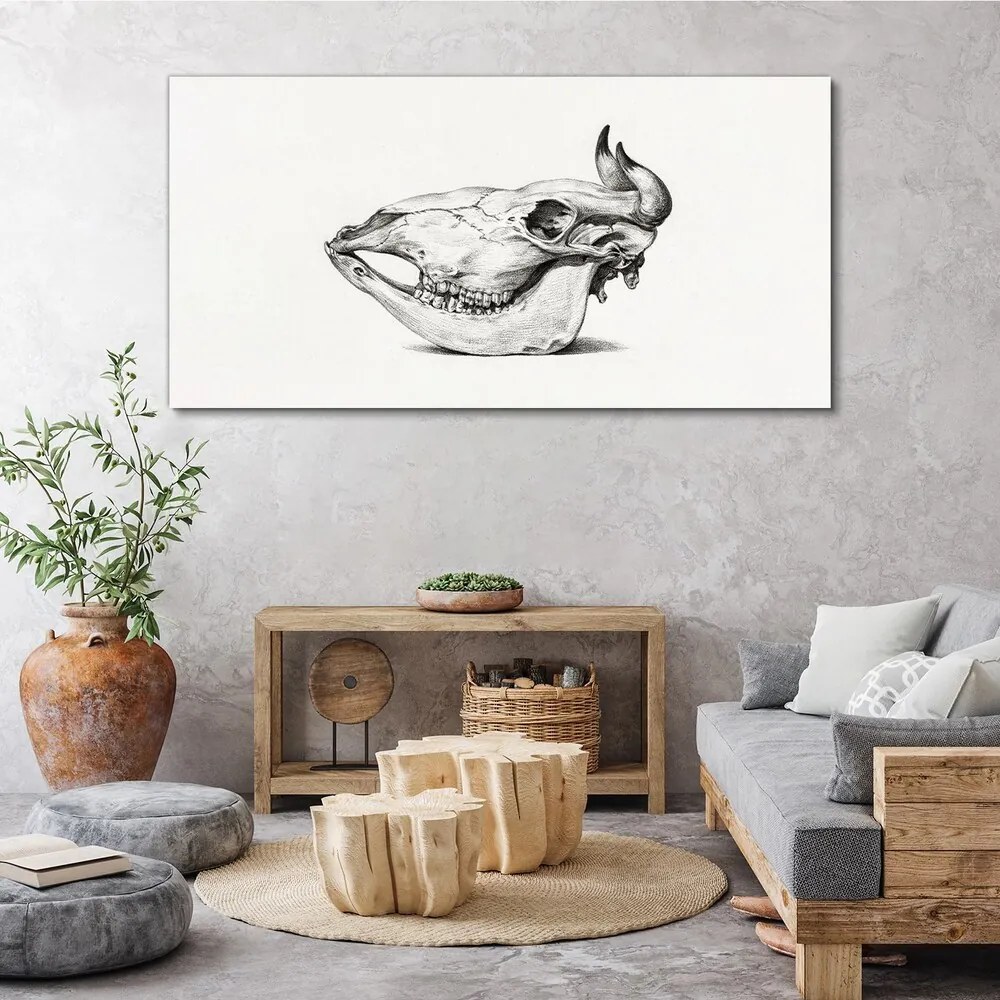 Tablou canvas Desen craniu de vacă