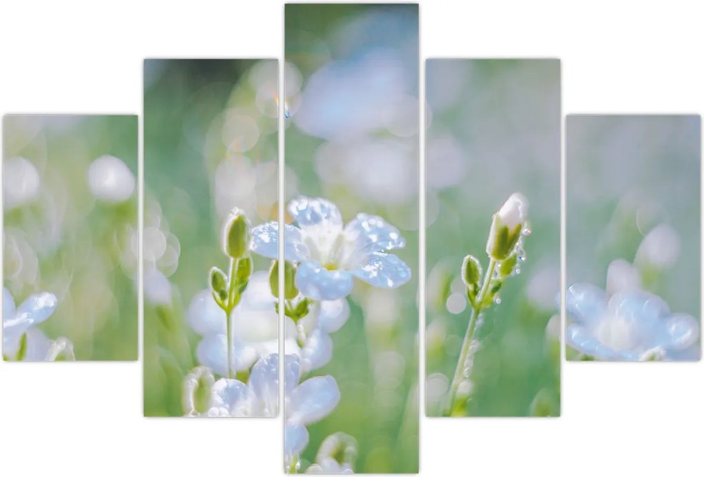 Tablou - Flori delicate (150x105 cm)