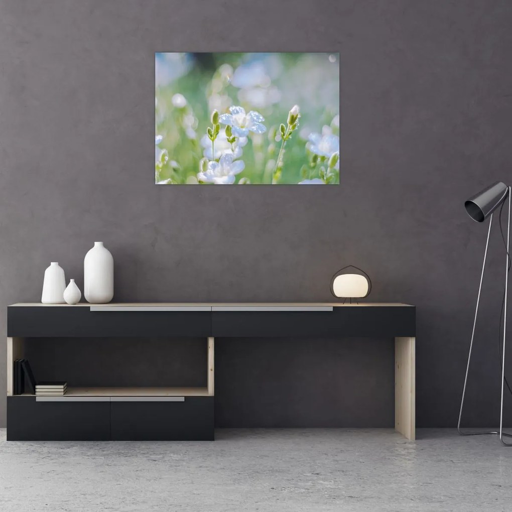 Tablou pe sticlă - Flori delicate (70x50 cm)
