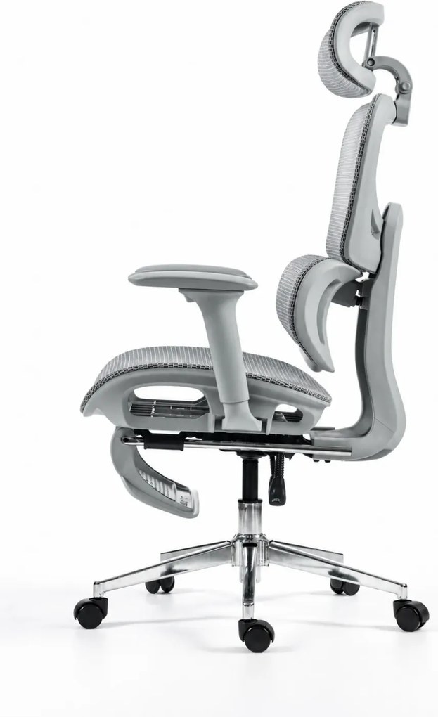 ErgoVanta Mesh — Scaun ergonomic, Suport lombar reglabil, Tetieră 2D, Cotiere reglabile, Mecanism cu blocare, Suport pentru picioare retractabil, Mesh, Gri