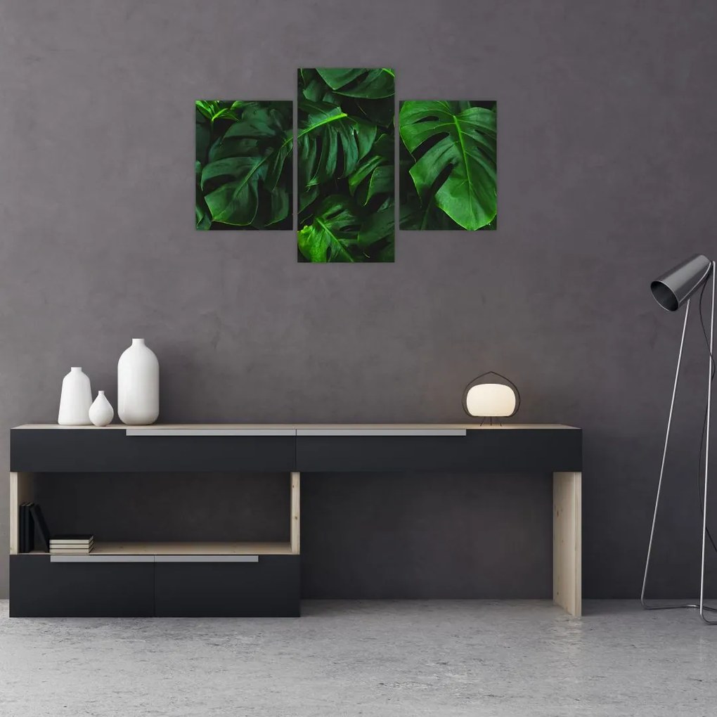 Tablou cu frunze Monstery (90x60 cm)