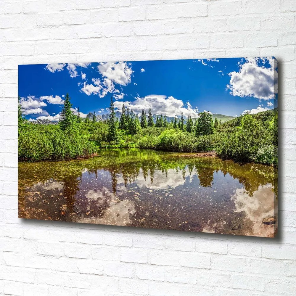Tablou canvas Lacul în pădure