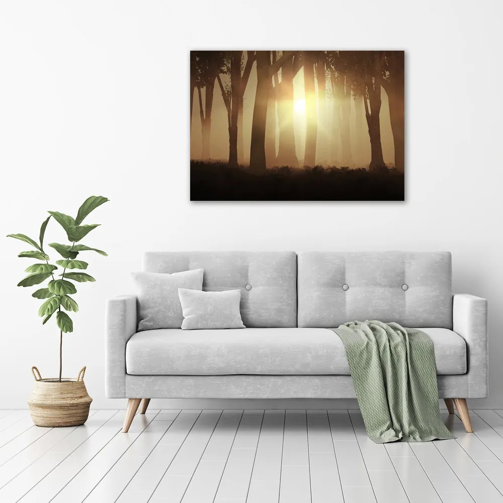 Imprimare tablou canvas Ceață în pădure