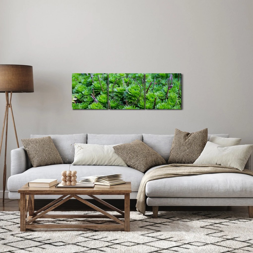 Tablou - Aloe (cu ceas) (90x30 cm)