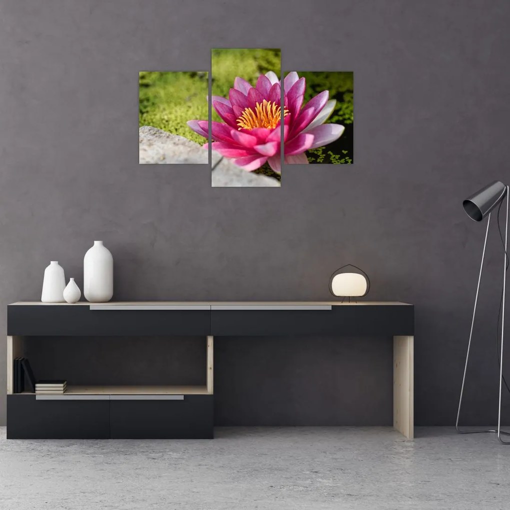 Tablou - Lotus (90x60 cm)