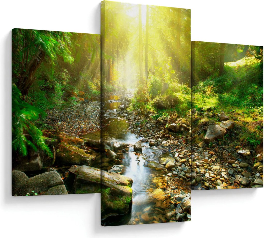 Tablou cu râul în pădurea verde (90x60 cm)