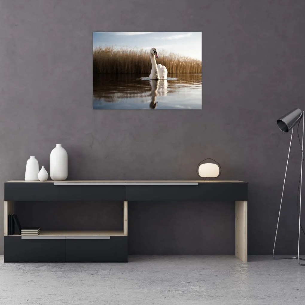 Tablou cu lebăda (70x50 cm)
