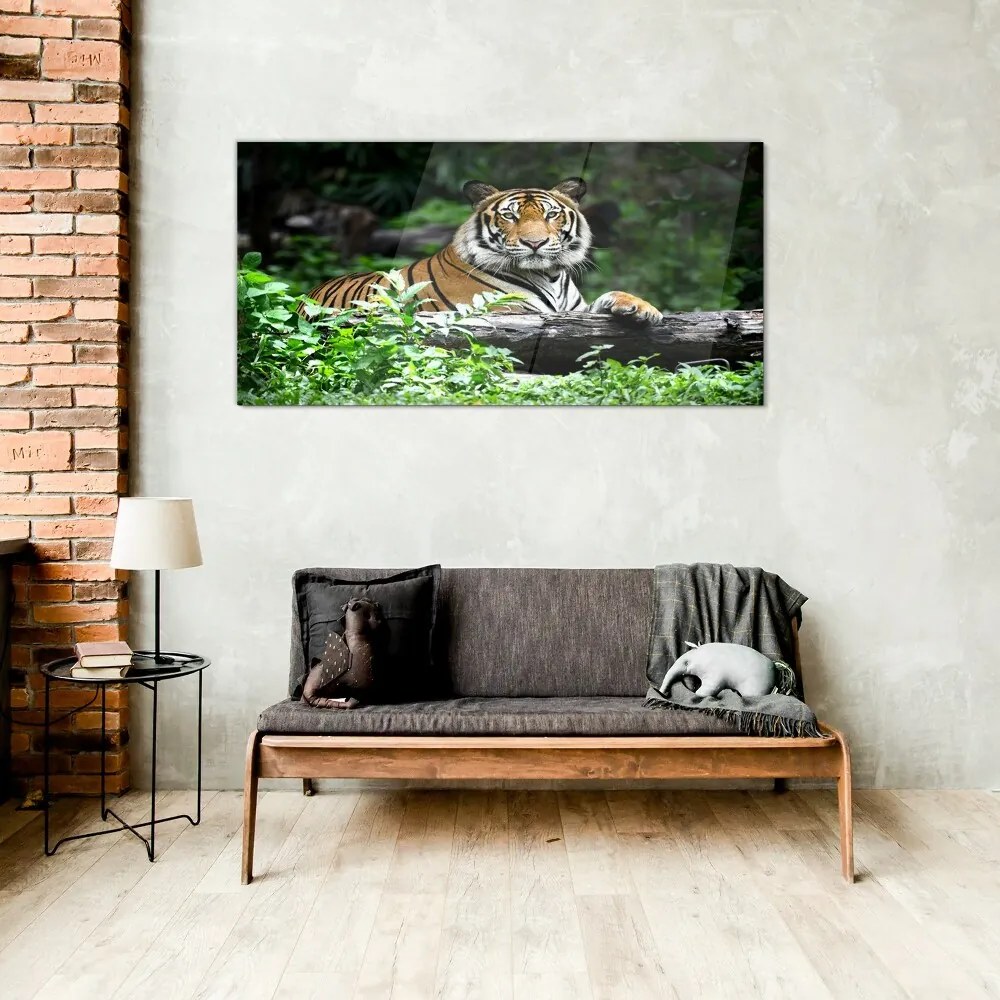 Tablou din sticla Forest Animal Cat Tiger