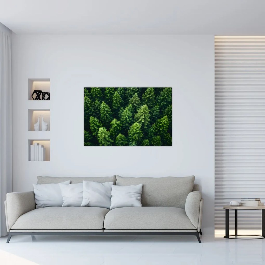 Tablou - Pădure (90x60 cm)