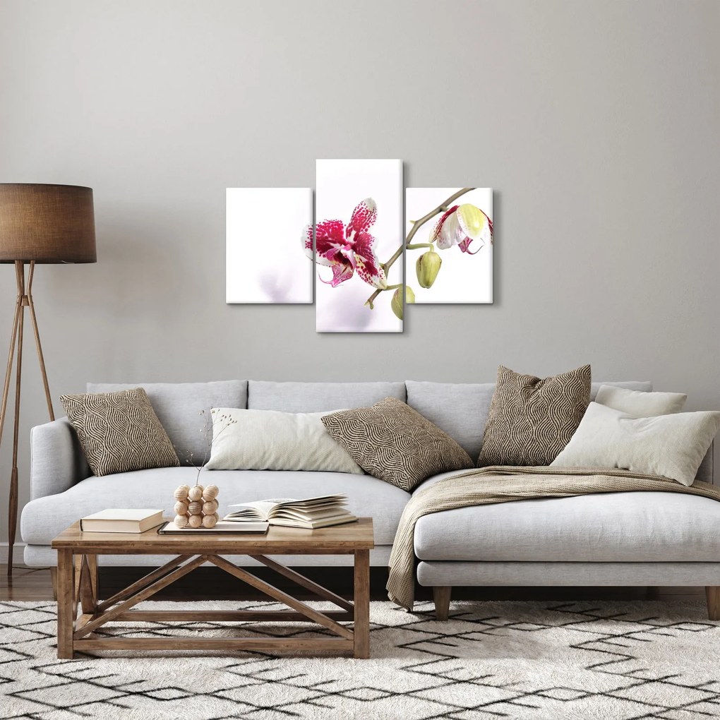 Tablou cu floarea de orhidee (90x60 cm)