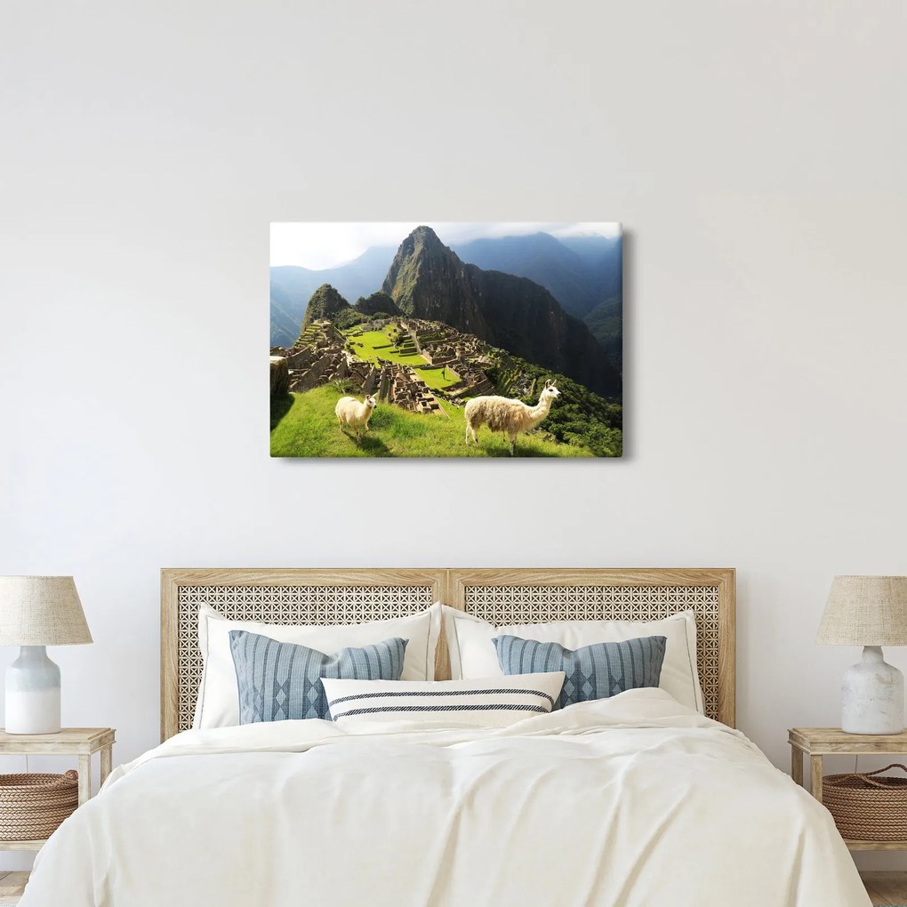 Tablou - Machu Picchu (90x60 cm)
