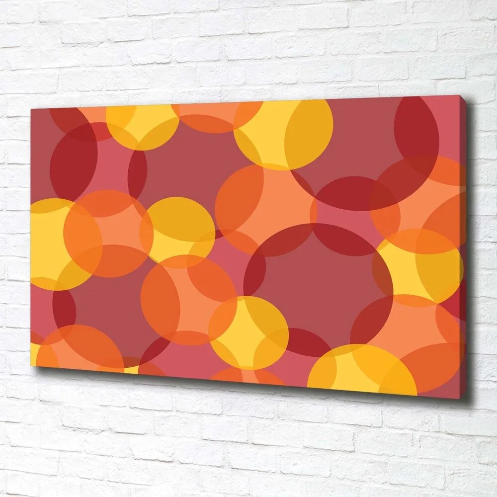 Tablou canvas Cercuri colorate