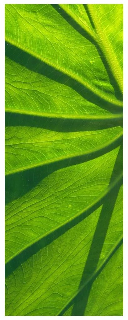 Fotojaluzele R014829R57150 (57x150 cm)