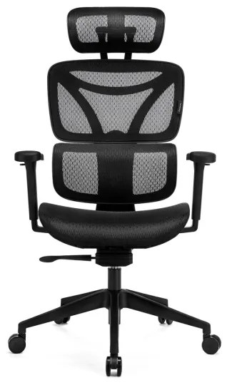 Scaun ergonomic de birou LEVANO negru