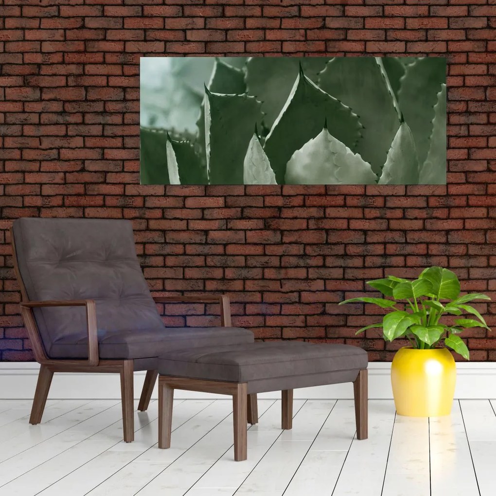 Tablou - Agave verde (120x50 cm)