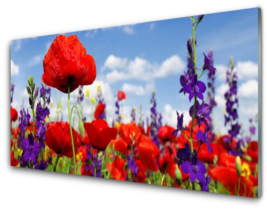 Tablouri acrilice Flori Floral Roșu Violet